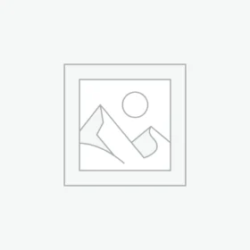 Uncategorized